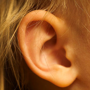 Science – Breakthrough in search for tinnitus cure