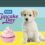 4: Fundraise – Cupcake Day supports SPCA animals