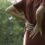 5: Health: Mental health screening “critical” for chronic pain treatment – expert reaction
