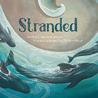 Stranded with words by Linda Jane Keegan, Illustrations by Joy Te Aho-White