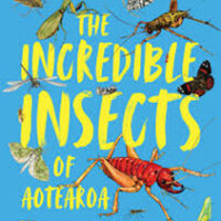 The Incredible Insects of Aotearoa by Simon Pollard and Phil Sirvid