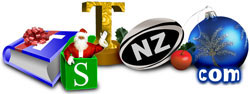 tstnz Christmas logo